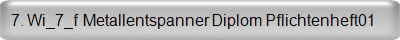 7. Wi_7_f  Metallentspanner Diplom Pflichtenheft01  